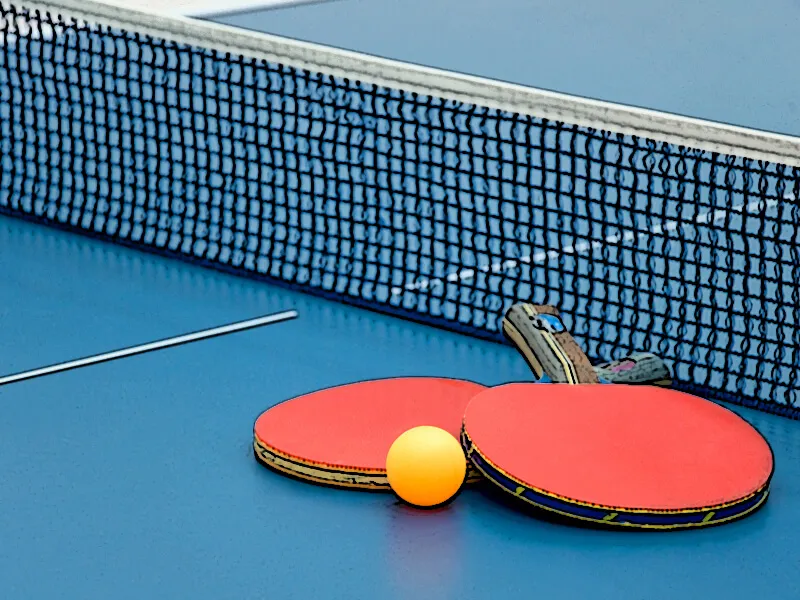 Full-size competition table tennis table